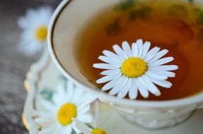 chamomile in a mug of chamomile tea