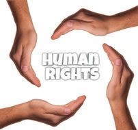 human rights four hands