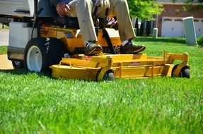 lawn maintenance