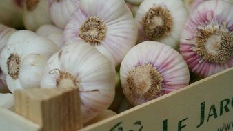 many garlic heads in a small wooden tub