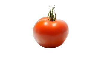 isolated tomato on white