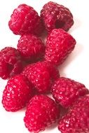 fresh healthy rasberries