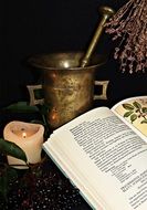 alchemy medical naturopathy