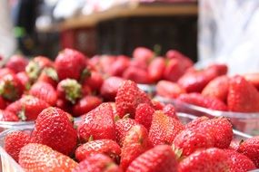 Strawberries in boxes closeup