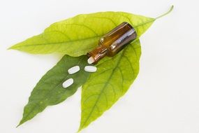 pills lie on green leaves