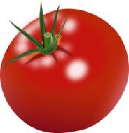 red shiny and healthy tomato