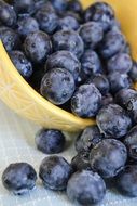 bowl with blueberries