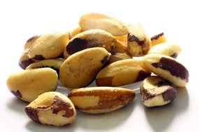 brazil nut