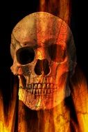 scary skull