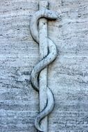 relief rod snake