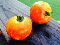 Yellow tomatoes on a log