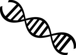 dna science biology research drawing