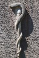 relief of the äskulapstab on the wall