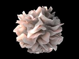 Macro photo of dentritic cell