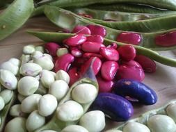 painted beans