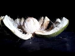 open coconut on a dark background