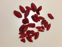 healthy goji berries