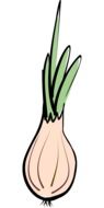 chives as a drawing