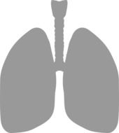 lungs medicine breathe drawing