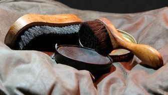 shoe polish brush