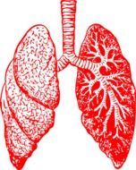 breathing bronchitis drawing