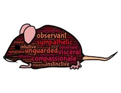 Image of a mouse with inscriptions