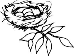 nest eggs birds drawing