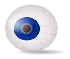 eye eyeball drawing