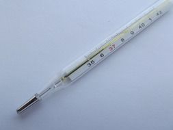 thermometer instrument