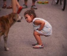 Small kid is interested in dog