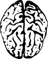 black and white human brain drawing