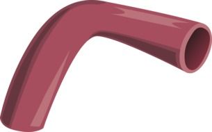 red artery on a white background