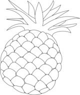 outline drawing of a pineapple fruit