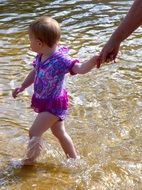 child walk with parents along the shore