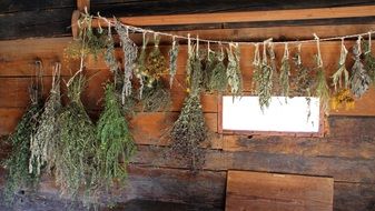 dried herbs and flowers