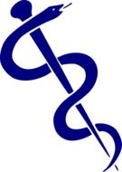 doctor medicine medical snake