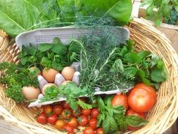 fresh eggs, tava and vegetables in a basket