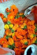 marigold flowers in a napkin