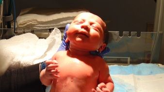 newborn baby in the hands of a nurse