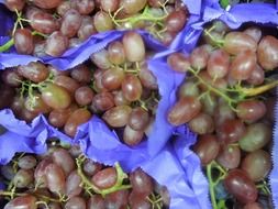 grapes red fruit juicy