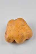 Big natural potato