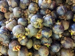 mangosteen pile