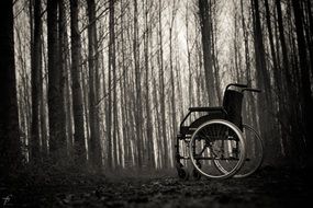 lonely wheelchair in the forest