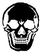 black skull on a white background