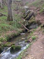 stream cascade in the forest