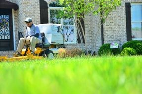 grass cutting service