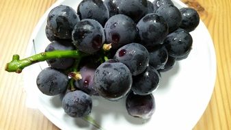 blue grapes fruit on a plate