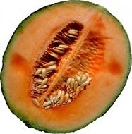 Photo of piece of melon
