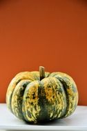 picture of an orange green pumpkin