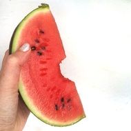 organic watermelon